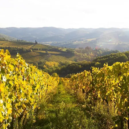 Rosso Del Chianti Al Centro Storico 2 * Panzano in Chianti